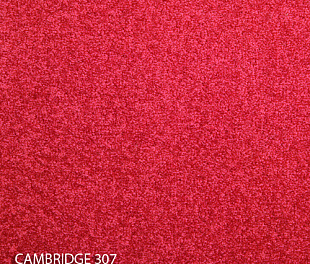 Килимова плитка Modulyss 14 Cambridge 307