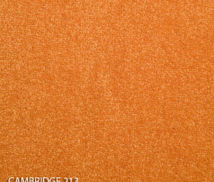 Ковровая плитка Modulyss 14 Cambridge 213