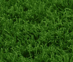 Штучна трава Betap GREENWHICHPARQ 5000 мм.