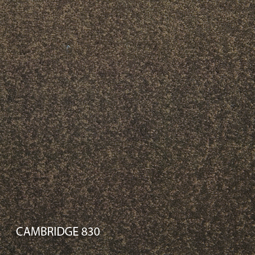 Килимова плитка Modulyss 14 Cambridge 830