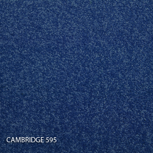 Килимова плитка Modulyss 14 Cambridge 595