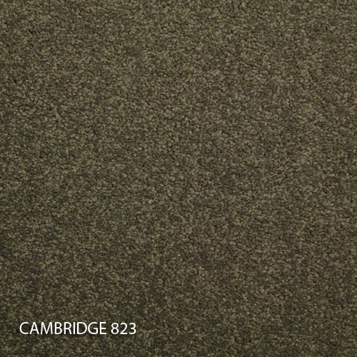 Килимова плитка Modulyss 14 Cambridge 823