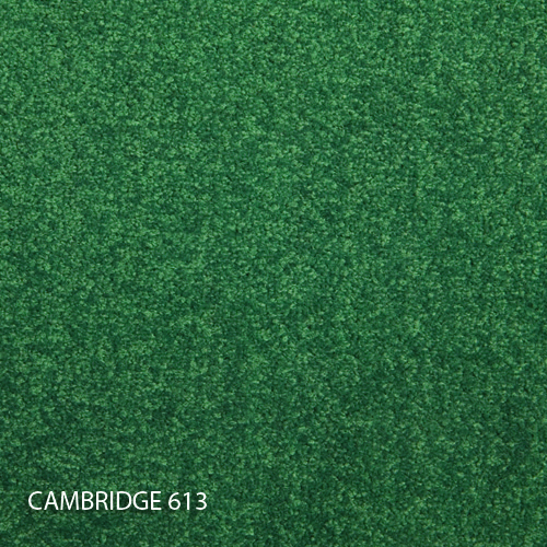Килимова плитка Modulyss 14 Cambridge 613