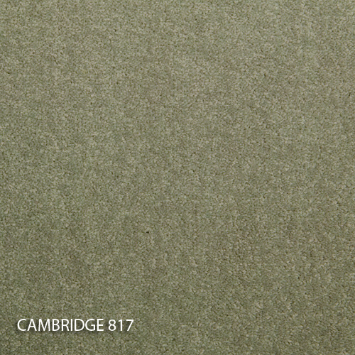 Килимова плитка Modulyss 14 Cambridge 817
