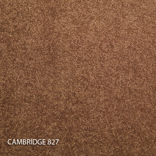 Килимова плитка Modulyss 14 Cambridge 827