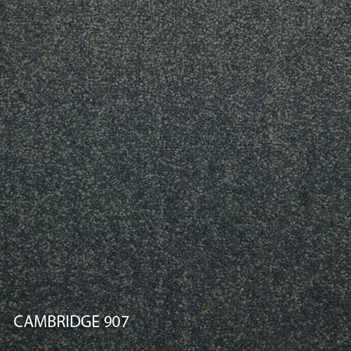 Килимова плитка Modulyss 14 Cambridge 907
