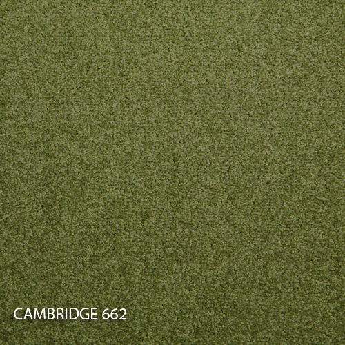 Килимова плитка Modulyss 14 Cambridge 662