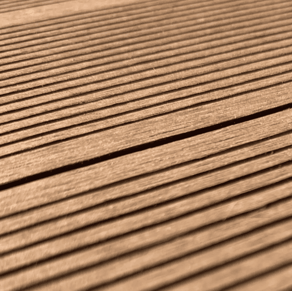 Lite Brown 3.png