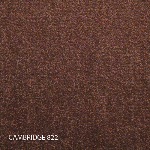 Килимова плитка Modulyss 14 Cambridge 822