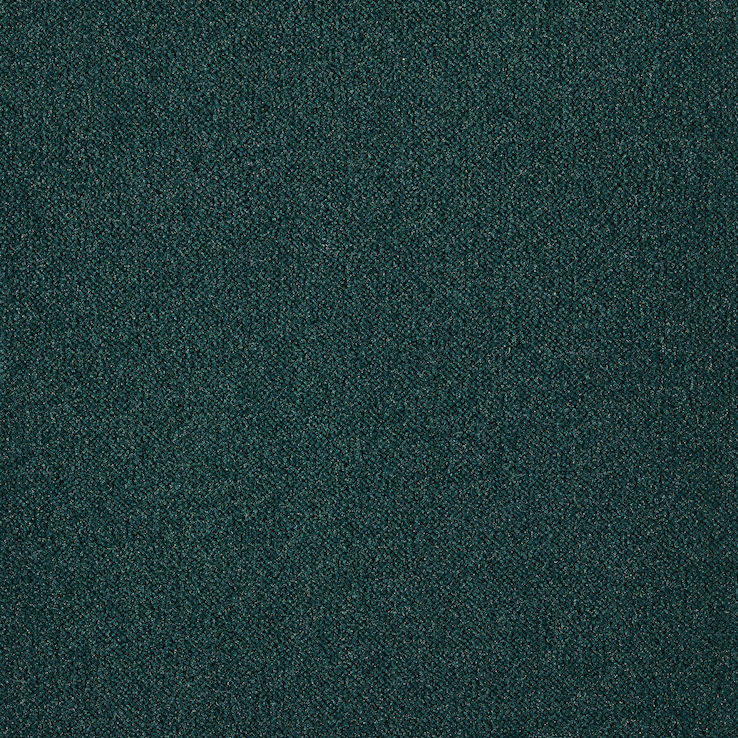Килимове покриття Carus Splendor 237