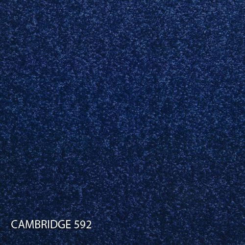Килимова плитка Modulyss 14 Cambridge 592
