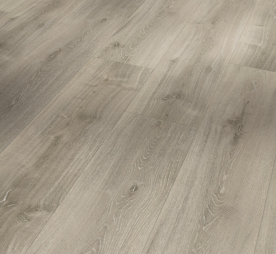 SPC - покриття Parador Basic 5.3 oak grey whitewash 1743001