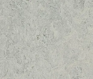 Натуральный линолеум Forbo Marmoleum Real 2.5 мм 3032 mist grey