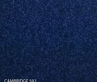 Ковровая плитка Modulyss 14 Cambridge 592