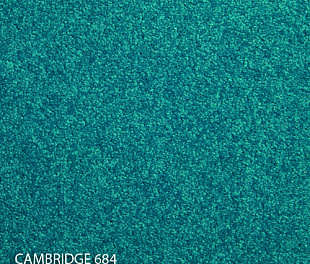 Килимова плитка Modulyss 14 Cambridge 684