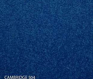Ковровая плитка Modulyss 14 Cambridge 504