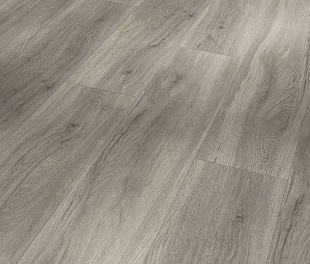 SPC - покриття Parador Basic 5.3 oak pastel grey 1743005