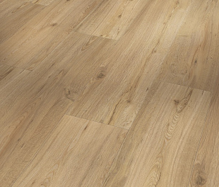 SPC - покриття Parador Basic 5.3 Oak natural Brushed 1743004