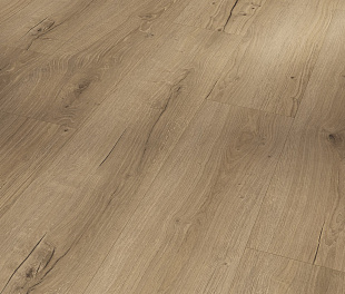 SPC - покриття Parador Basic 5.3 Oak Cambridge natural 1748825