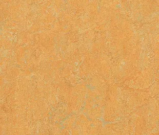 Натуральный линолеум Forbo Marmoleum Real 2.5 мм 3847 golden saffron