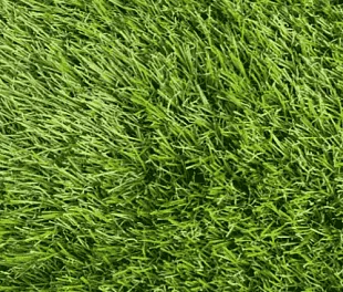 Штучна трава Congrass JAKARTA 40 2000 мм.