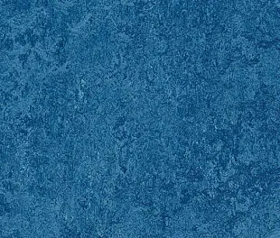 Натуральный линолеум Forbo Marmoleum Real 2.5 мм 3030 blue