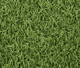 Штучна трава Betap HEATONPARQ 40 2000 мм.