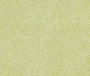 Натуральный линолеум Forbo Marmoleum Real 2.5 мм 3881 green wellness