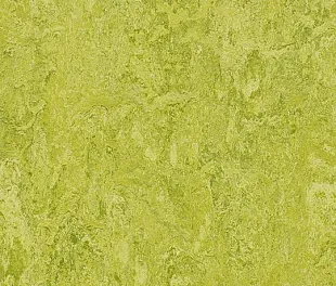 Натуральный линолеум Forbo Marmoleum Real 2.5 мм 3224 chartreuse
