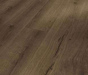 SPC - покриття Parador Basic 5.3 Oak Cambridge smoked 1748826