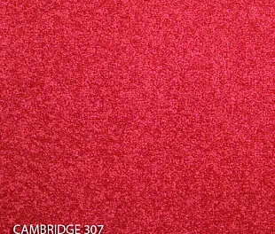 Ковровая плитка Modulyss 14 Cambridge 307