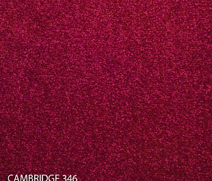 Ковровая плитка Modulyss 14 Cambridge 346