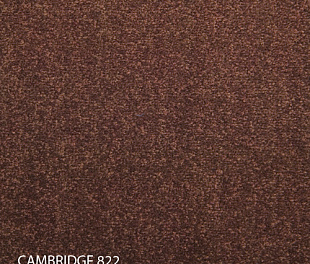 Ковровая плитка Modulyss 14 Cambridge 822