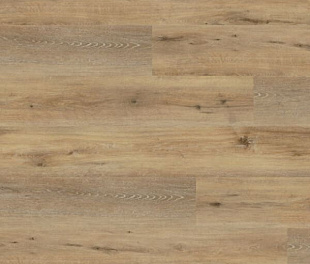 Вінілова підлога Wineo 400 DB Wood XL Joy Oak Tender DB126WXL