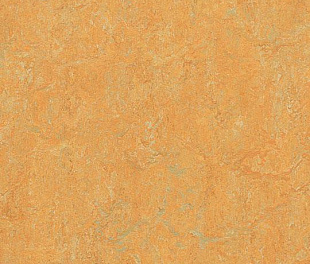 Натуральний лінолеум Forbo Marmoleum Real 2.5 мм 3847 golden saffron