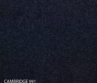 Ковровая плитка Modulyss 14 Cambridge 991